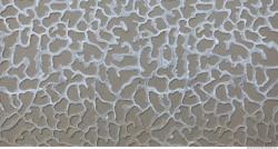 Photo of Various Textures